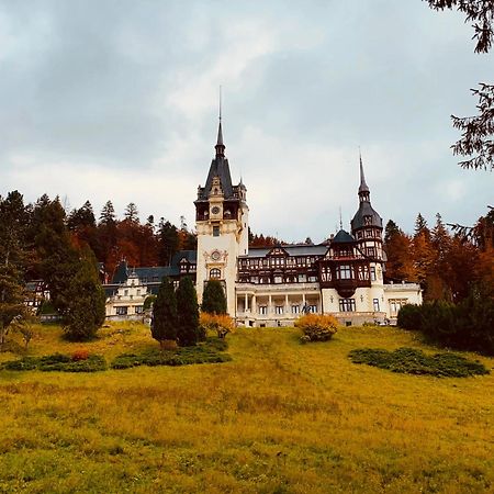Wood Studio Sinaia Esterno foto