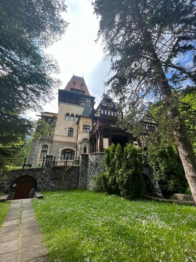 Wood Studio Sinaia Esterno foto