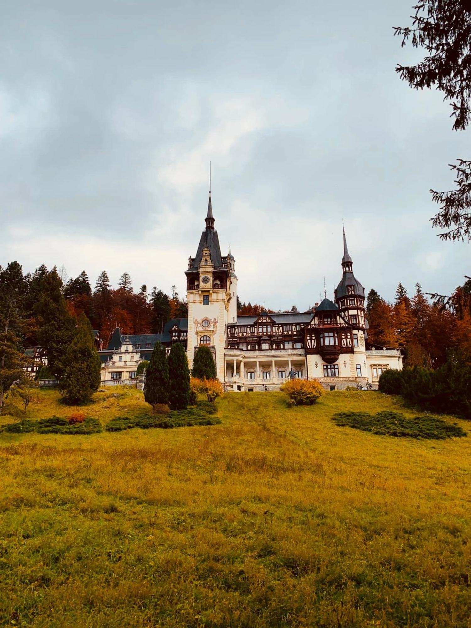 Wood Studio Sinaia Esterno foto